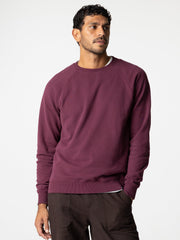 Organic Cotton Sweatshirt in Purple - Coho