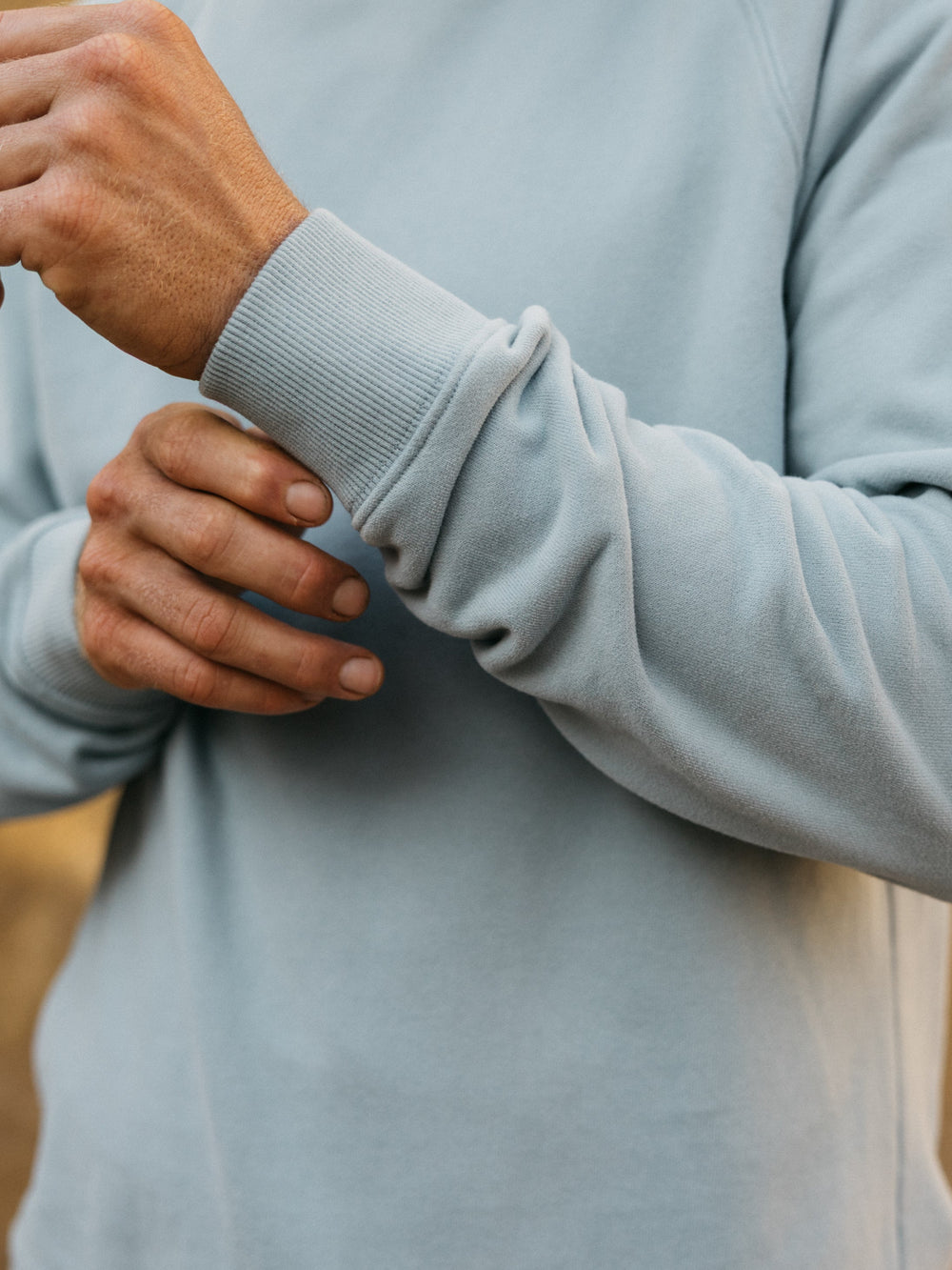 Organic Cotton Sweatshirt in Blue - Coho