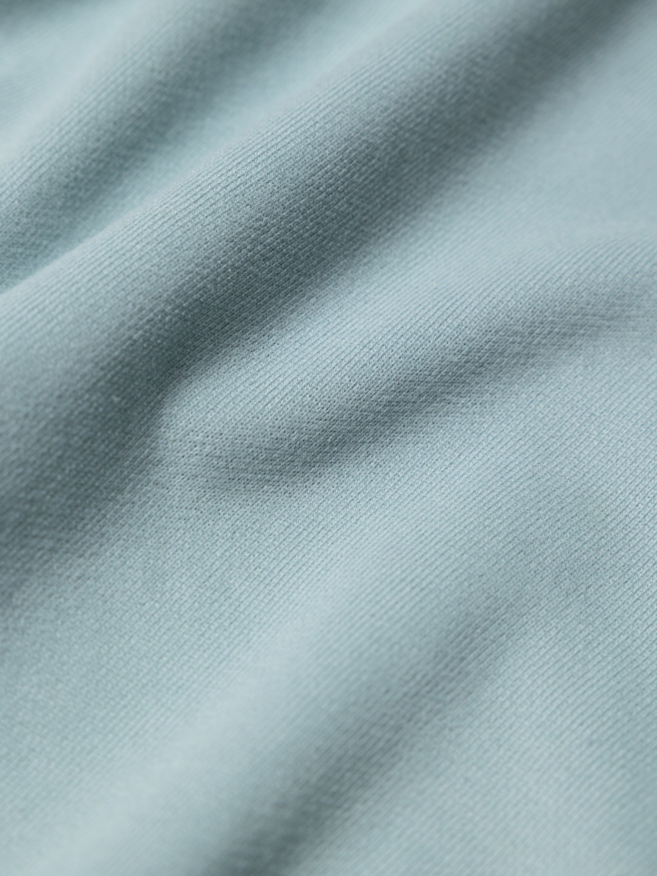 Organic Cotton Sweatshirt in Blue - Coho