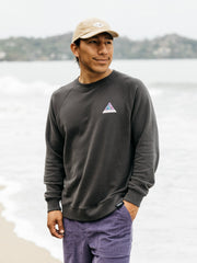 Organic Cotton Sweatshirt in Black - Future Wave
