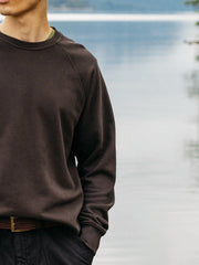Organic Cotton Sweatshirt in Brown - Coho
