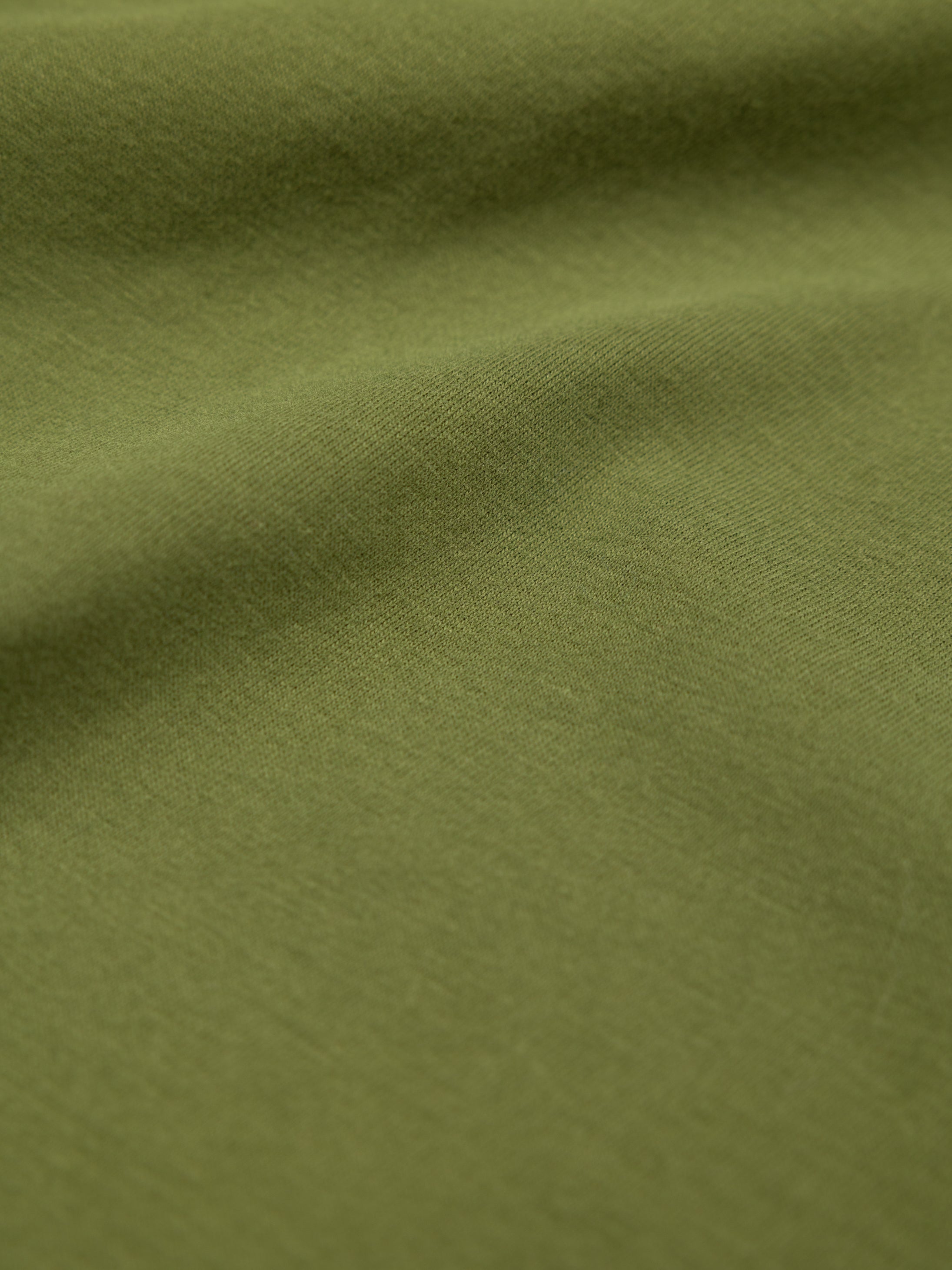 Organic Cotton T-Shirt in Seagrass - Harlyn